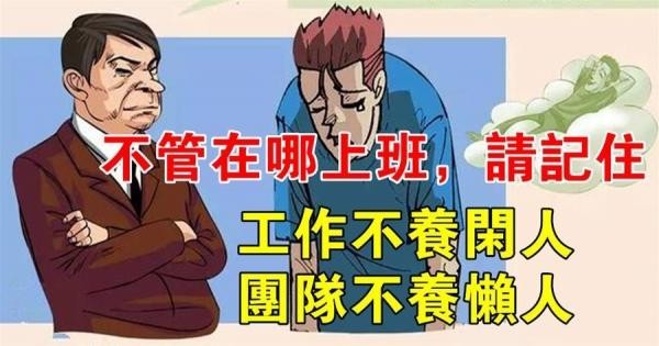 没学历懒人的工作 没学历懒人的工作好找吗