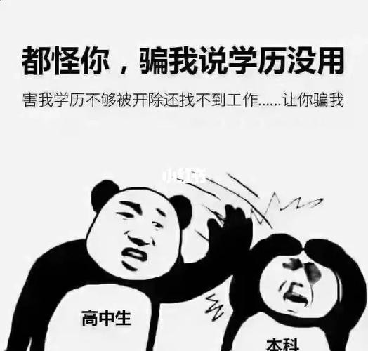 没学历找不到工作 没学历找不到工作也不知道做什么