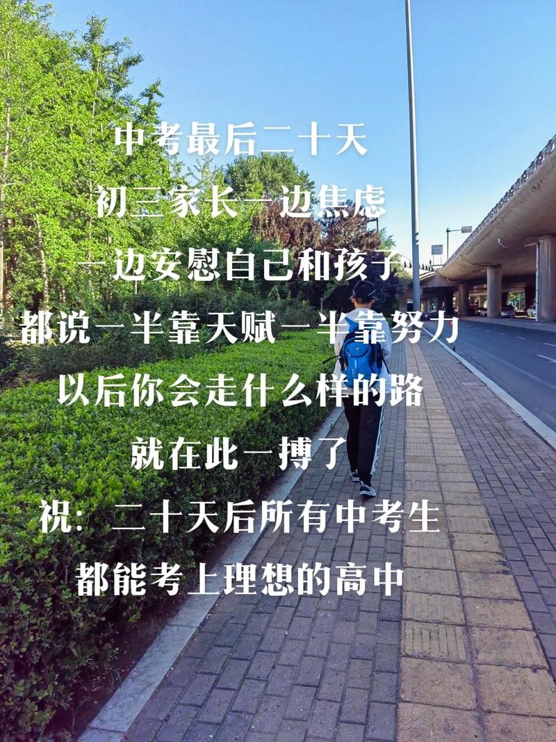 没有学历未来的路要怎样走 没有学历未来做什么行业赚钱