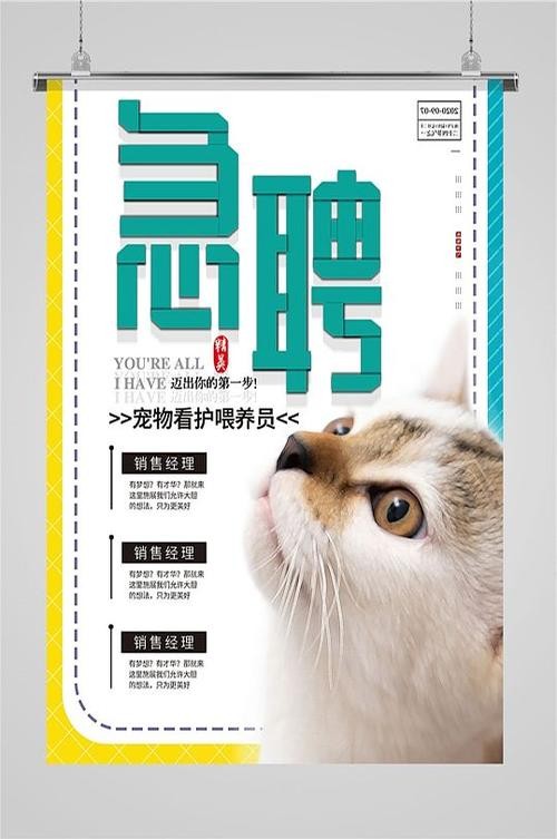 浙江工厂招聘信息最新招聘浙江金华市宠物市场 金华宠物用品批发市场