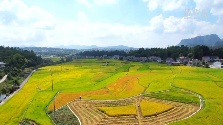 湖北鹤峰本地招聘 鹤峰兼职招聘信息网