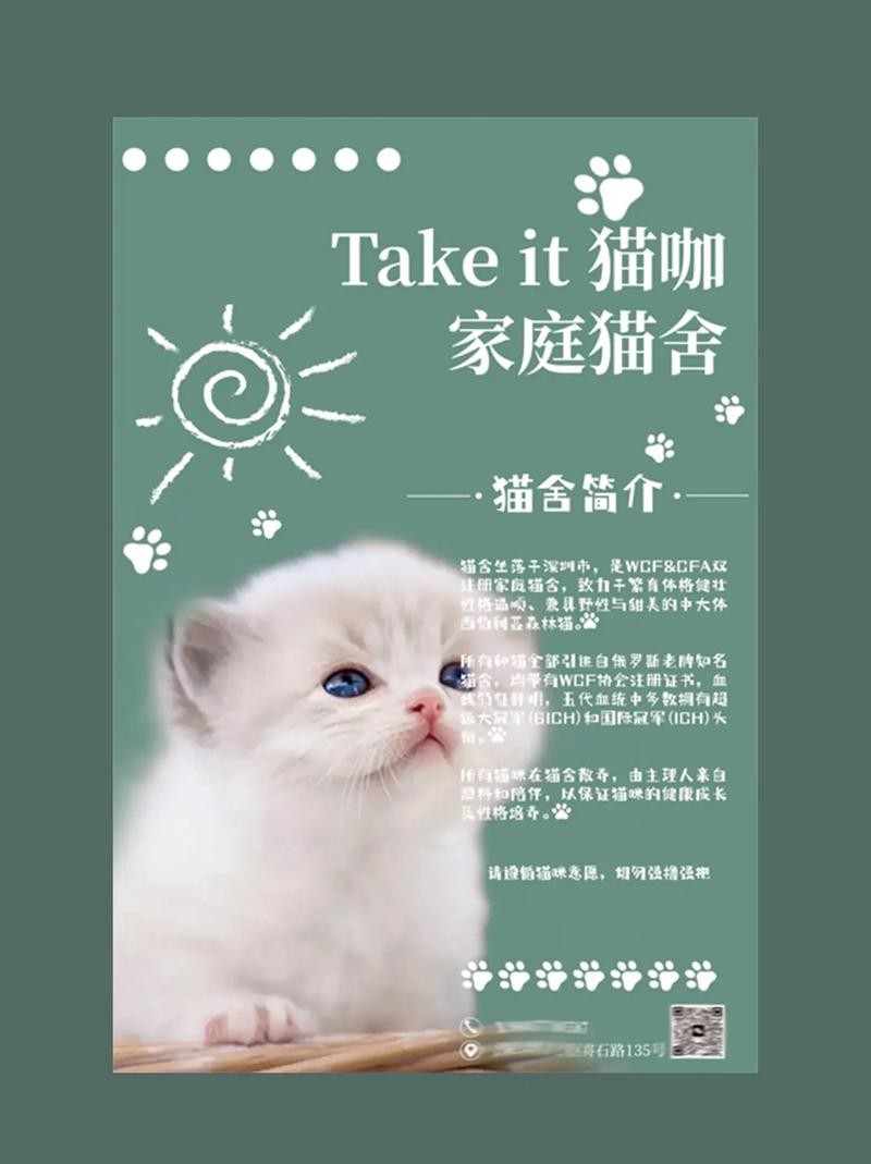 猫咖招聘启事 猫咖招聘海报