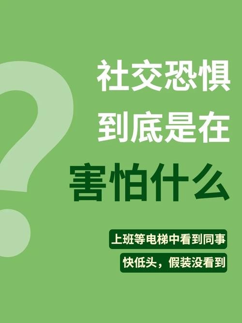 社恐到底在怕什么 社恐到底在怕什么人