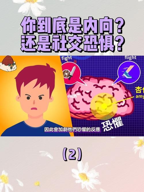 社恐是？ 社恐是胆小还是脑子有问题