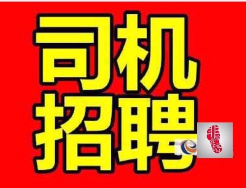 竹溪本地招聘司机 竹溪哪里招司机