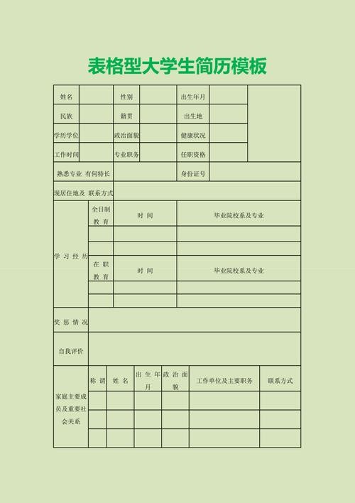 简历表格 个人简历电子版 大学生简历表格 个人简历电子版