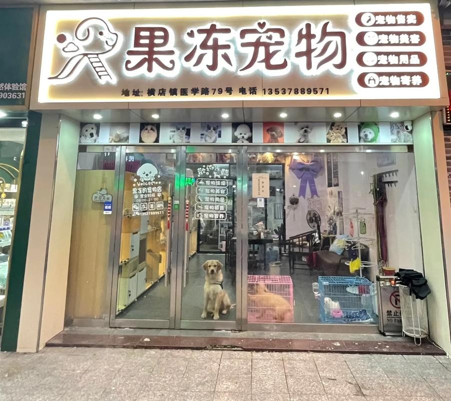 绵阳本地宠物论坛招聘 绵阳比较有名的宠物店