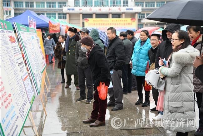 罗城本地招聘 罗城本地招聘网