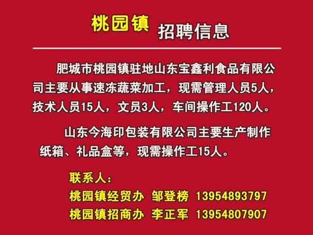 肥城本地招聘平台 肥城招聘信息