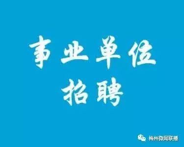 蕉岭本地招聘会2022 蕉岭县招聘网