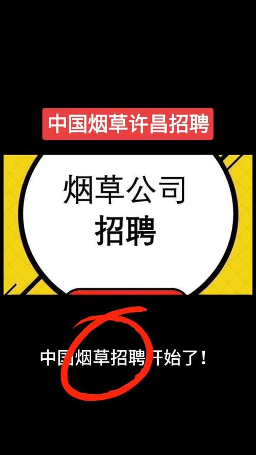 许昌本地招聘网找工作网 许昌招聘平台