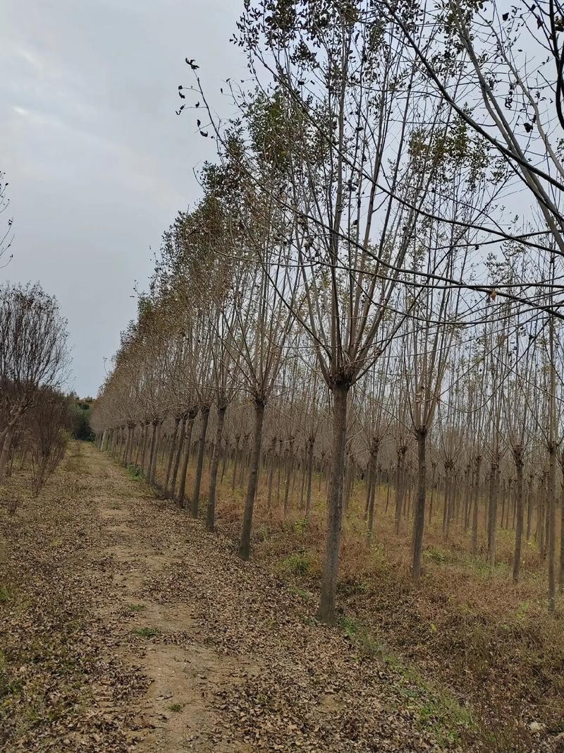 邯郸本地高干招聘 邯郸本地高干招聘信息