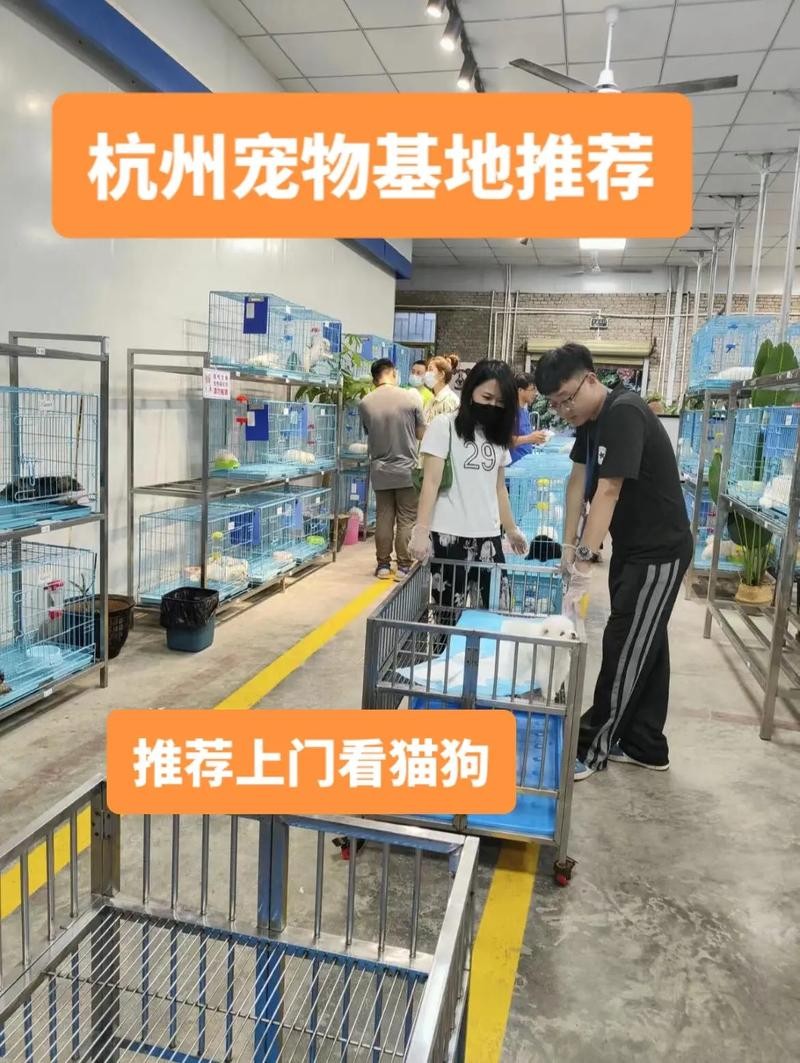 鄂州本地犬舍招聘吗 鄂州有宠物店吗