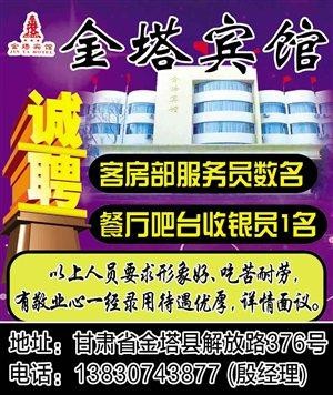 金塔本地招聘 金塔招聘在线