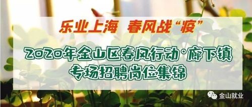 金山区本地喷漆设计招聘 金山区本地喷漆设计招聘网