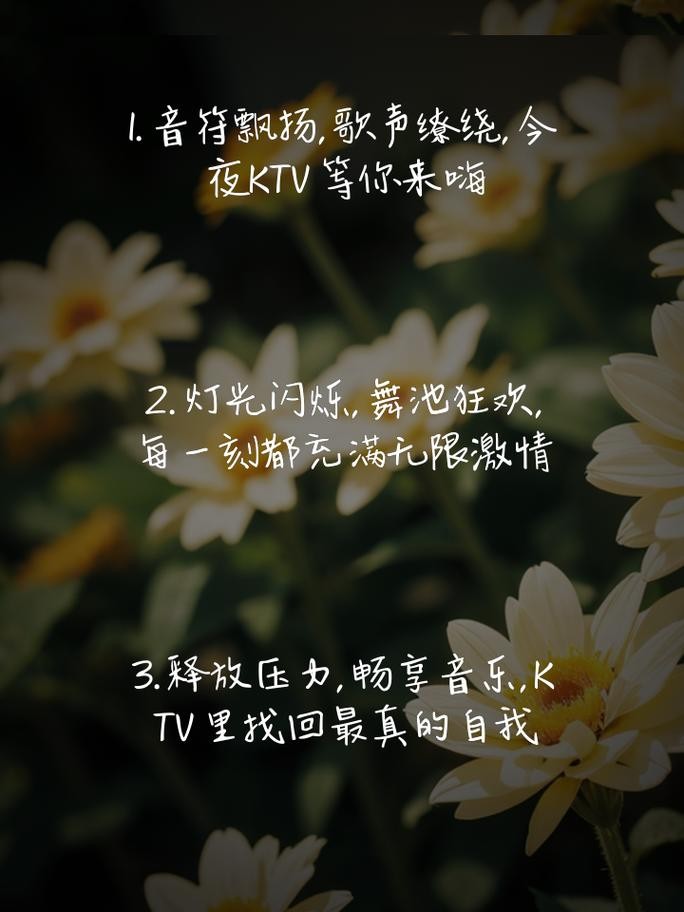 夜场文案怎么写KTV 夜场走心文案