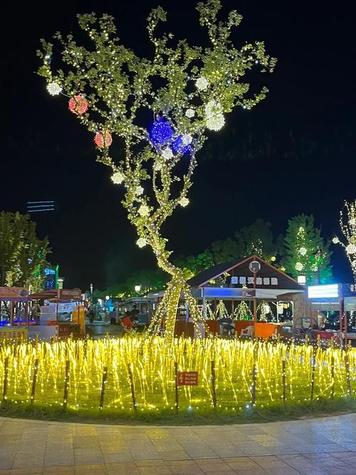 夜场有什么美景吗图片 夜场有什么用