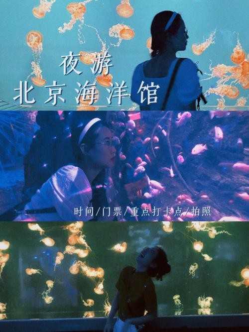 夜场海洋馆门票怎么买 夜游海洋馆