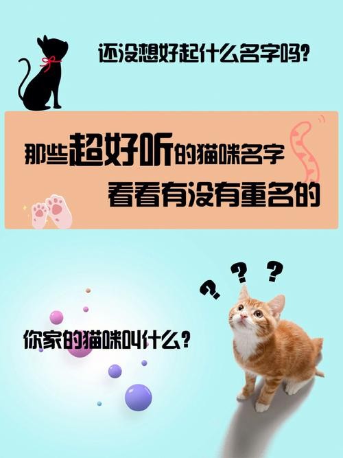 夜场猫叫音乐叫什么名字 夜总会猫舞音乐