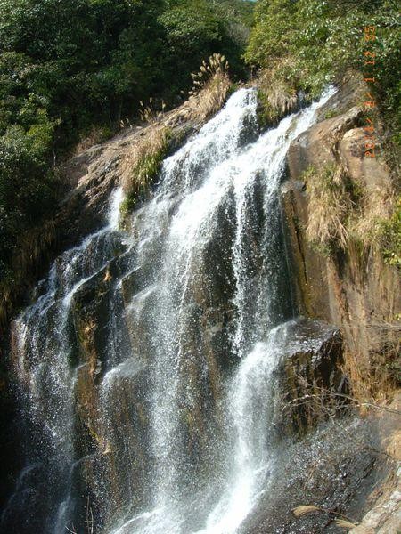 夜场里什么是高山流水 夜场里什么是高山流水的意思