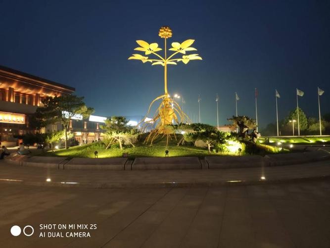 安国有夜场吗在哪里 安国夜景哪的好看