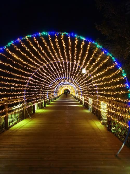 开封古城墙夜场票价多少 开封城墙夜景收费吗