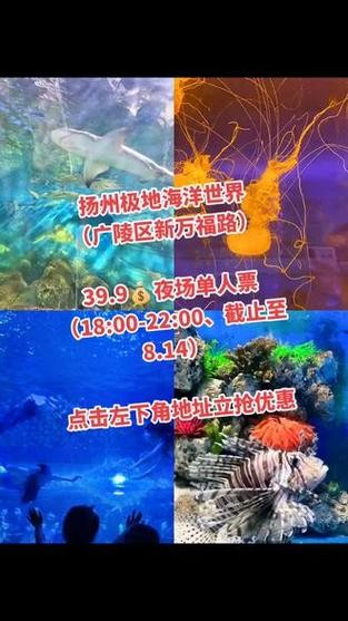 扬州游乐场夜场票多少钱 扬州刚开的游乐场