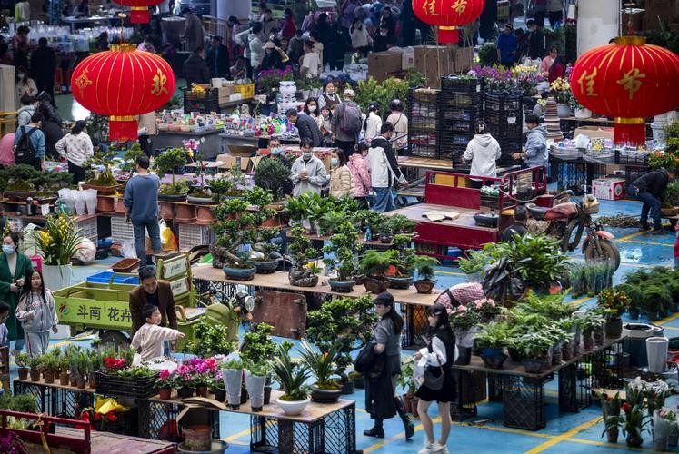 斗南市场夜场在哪里 斗南市场夜场在哪里开