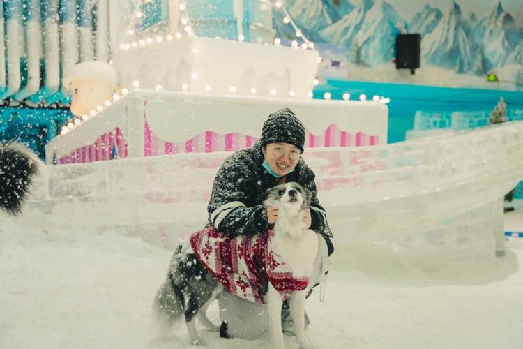 榆树滑雪夜场电话号码多少 榆树冰雪乐园在哪里